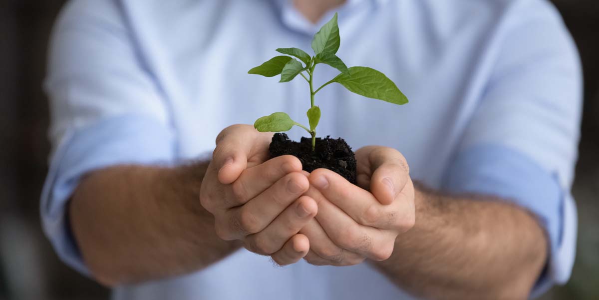 NYS Seed Funding Grant Program